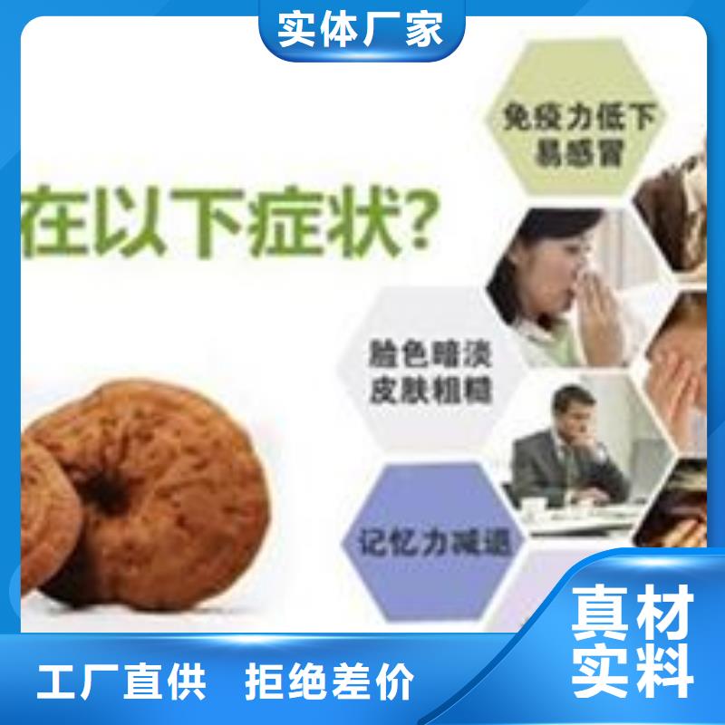 灵芝粉供应商-长期合作