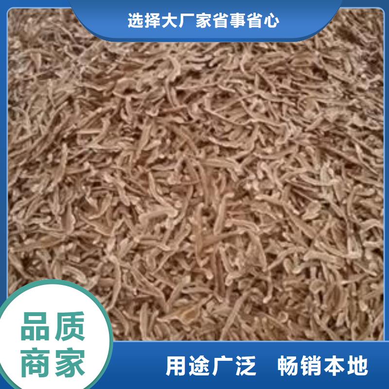 买灵芝菌种必看-经验丰富