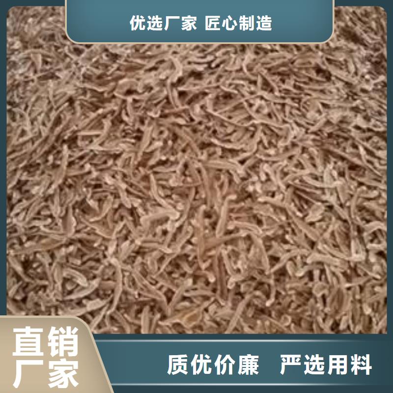 灵芝菌种大量现货充足