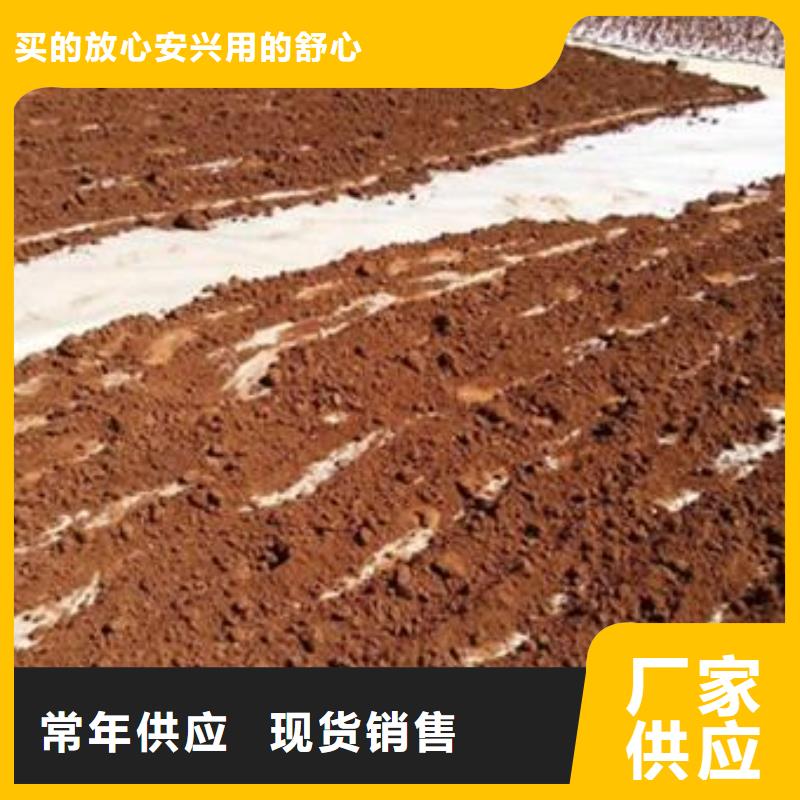 价格低的灵芝菌种实体厂家现货采购