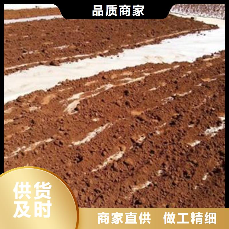 批发灵芝菌种的厂家当地供应商