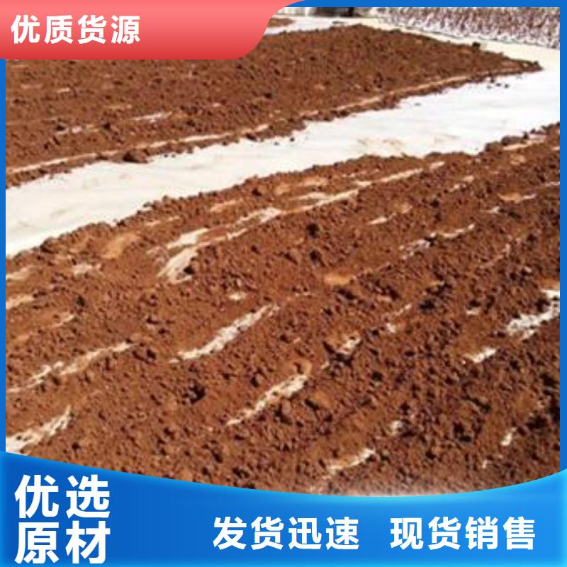 有现货的灵芝菌种本地厂家当地货源