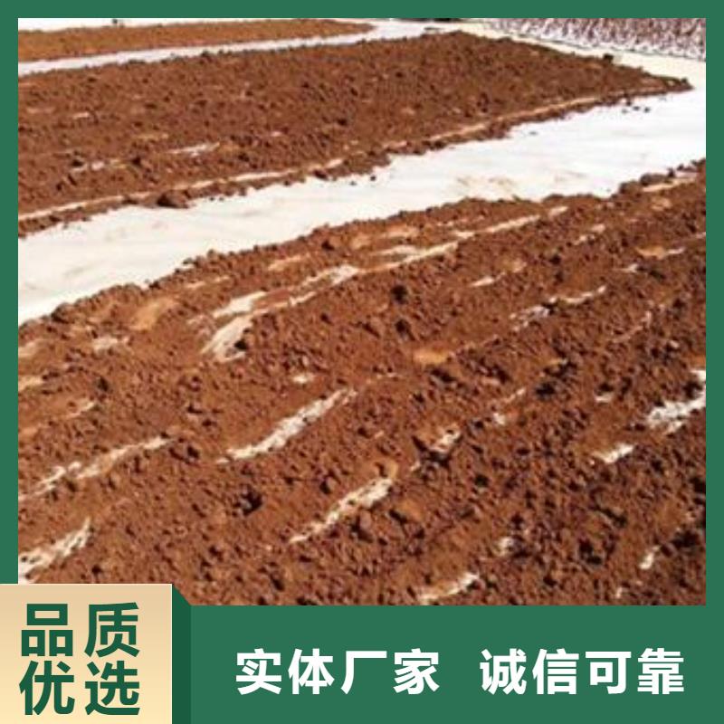 质优价廉的灵芝菌种经销商厂家直接面向客户