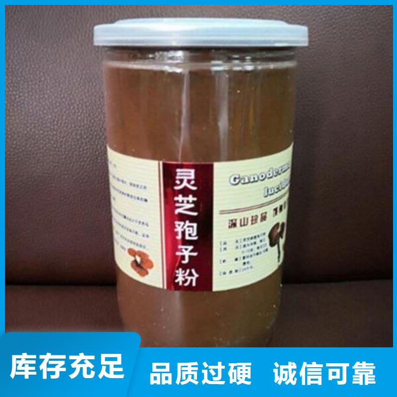 优质灵芝菌种的销售厂家客户满意度高