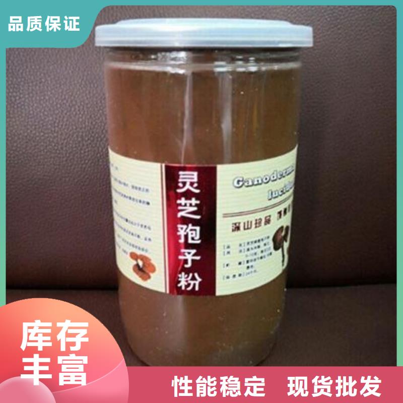 灵芝菌种价格便宜同城制造商