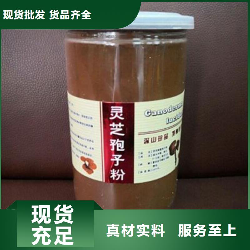 灵芝菌种促销定制零售批发