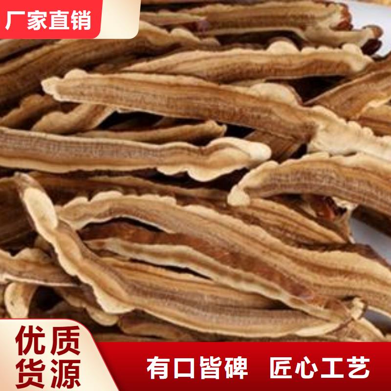 灵芝菌种用途匠心打造