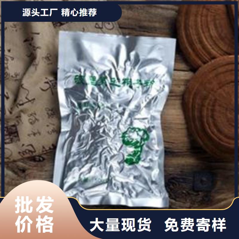 优质灵芝菌种厂家质量为本