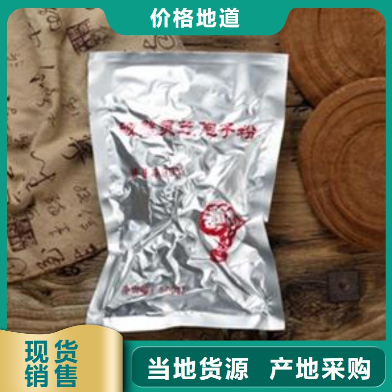 靈芝菌種選靈芝菌種廠家