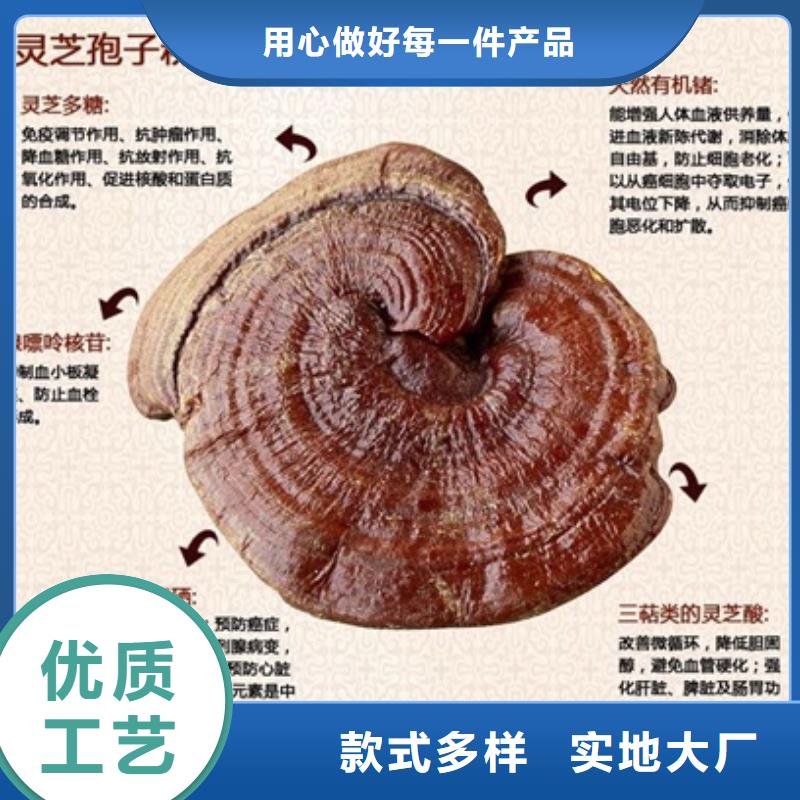 买灵芝菌种必看-售后保证本地货源