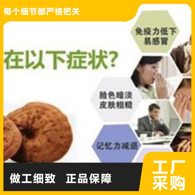 买灵芝菌种必看-质量好本地生产商