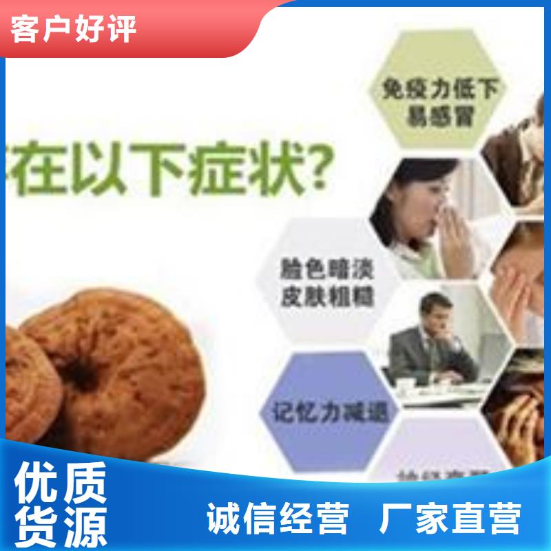 供应灵芝菌种_精选厂家当地公司