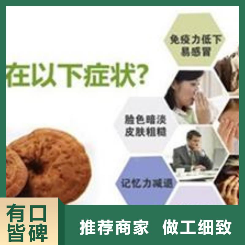 可信赖的灵芝菌种厂家