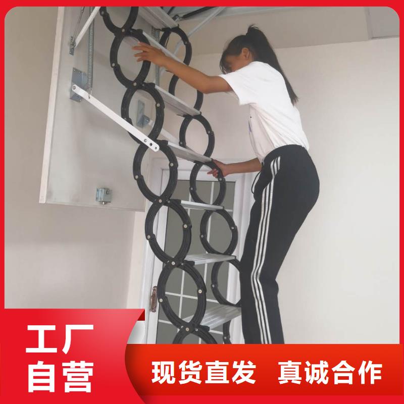 值得信赖的伸缩楼梯批发商