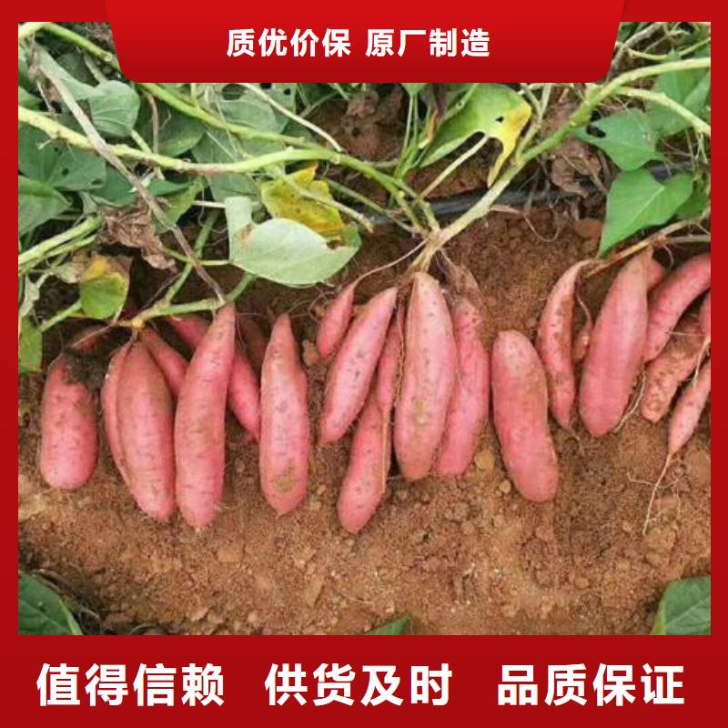 商薯制作公司