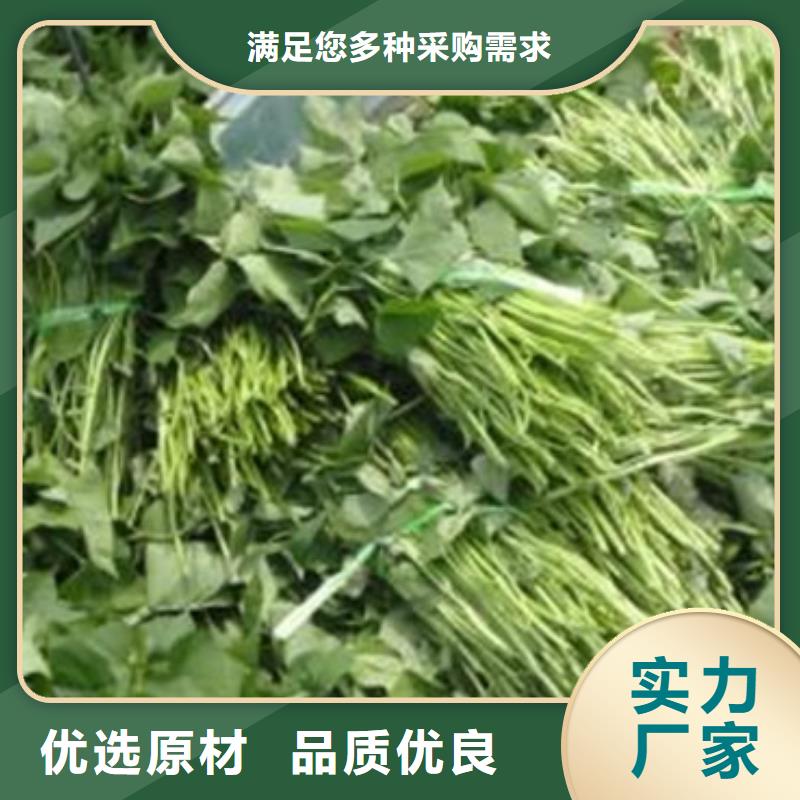 商薯制作公司