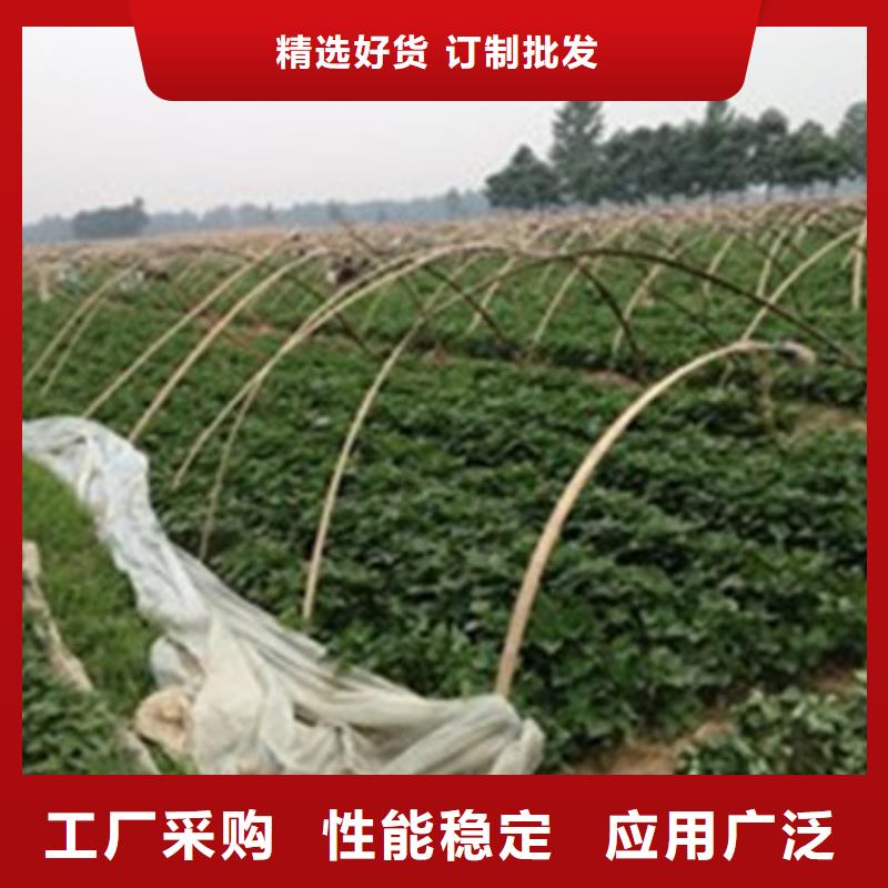 定制济薯_诚信企业