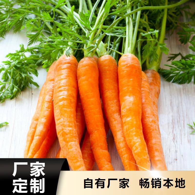 生产胡萝卜粉_品牌厂家