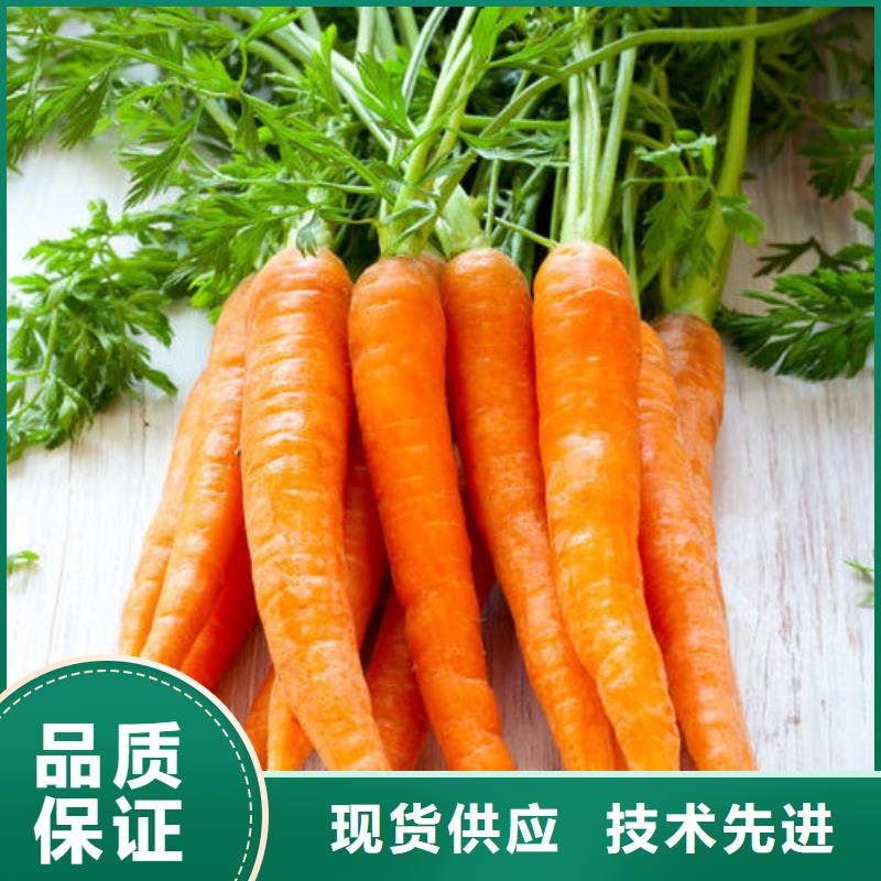 胡萝卜粉厂家发货快