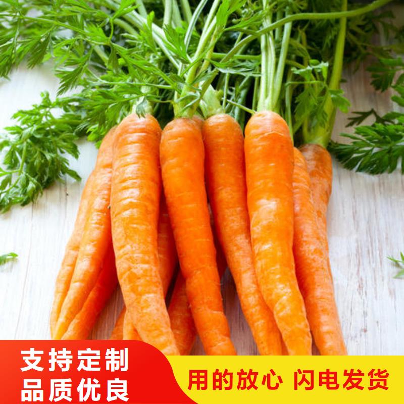 胡萝卜粉租赁