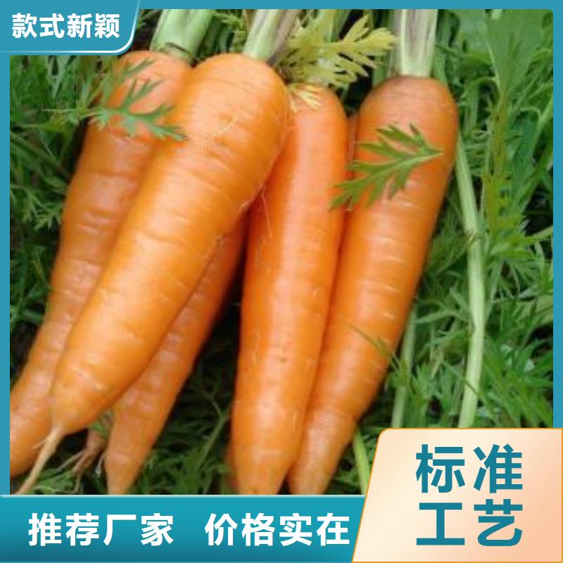 值得信赖的胡萝卜粉供货商自主研发