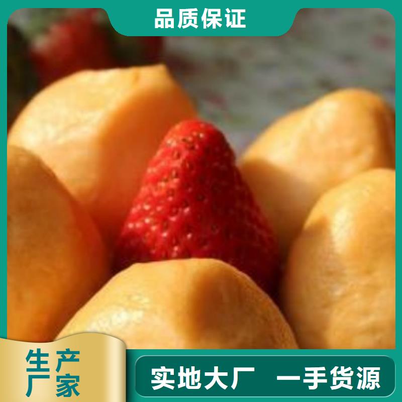 胡萝卜粉厂家批发当地制造商