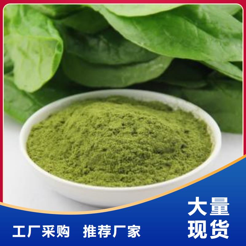 支持定制的菠菜粉基地本地货源