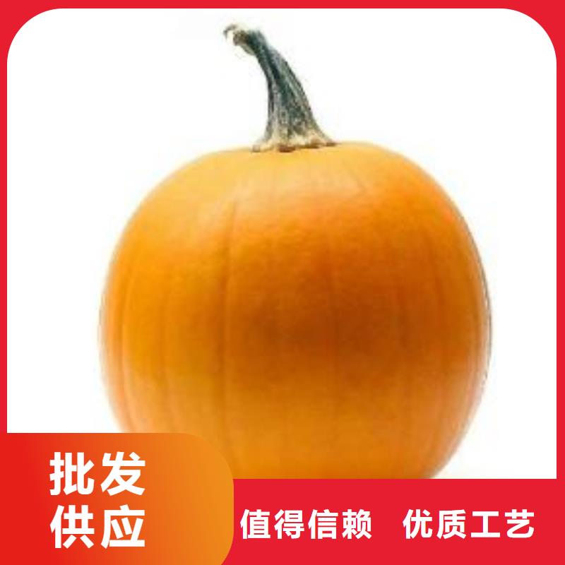 采购南瓜粉必看-质量优厂家货源