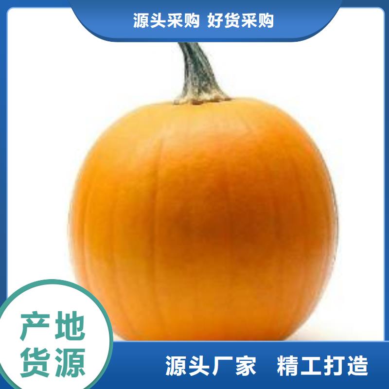南瓜粉企业-质量过硬