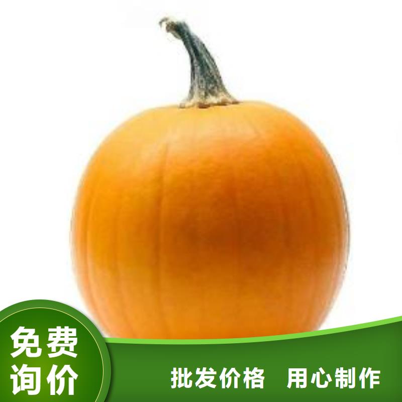 南瓜粉本地供货商