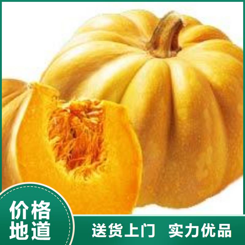 南瓜粉服务商