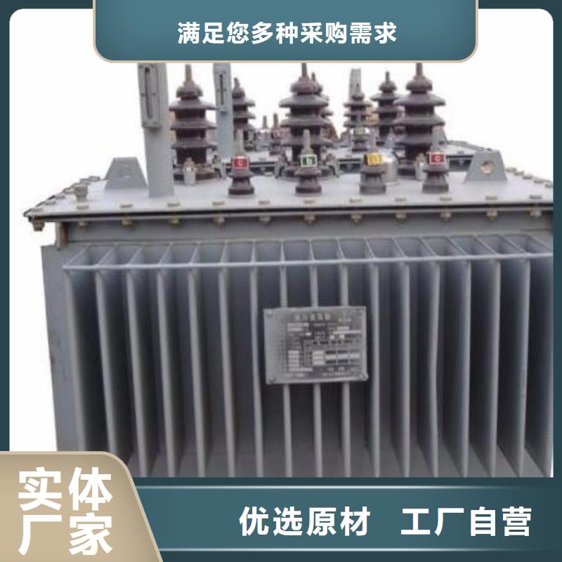 油浸式变压器生产厂家 支持定制