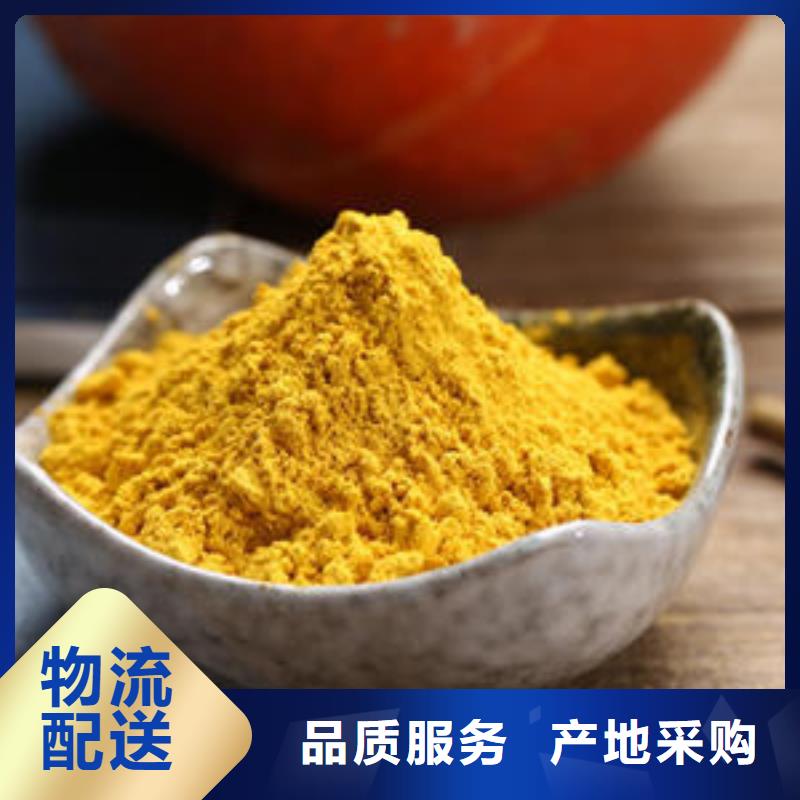 生产南瓜粉的厂家厂家货源