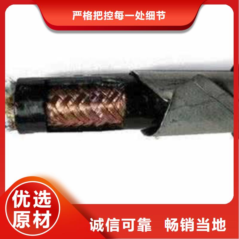 阻燃同轴电缆ZRSYV贴心服务