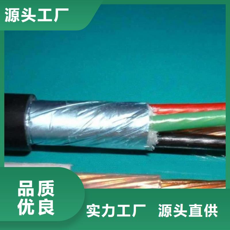 阻燃同轴电缆ZRSYV行业经验丰富