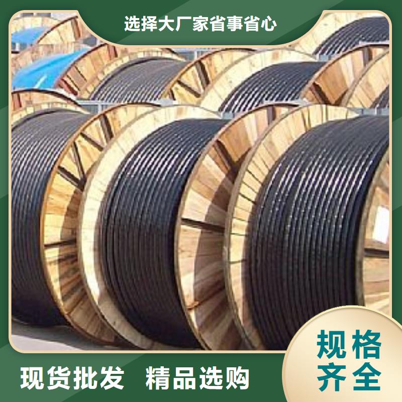 阻燃同轴电缆ZRSYV-正规厂家一站式采购商
