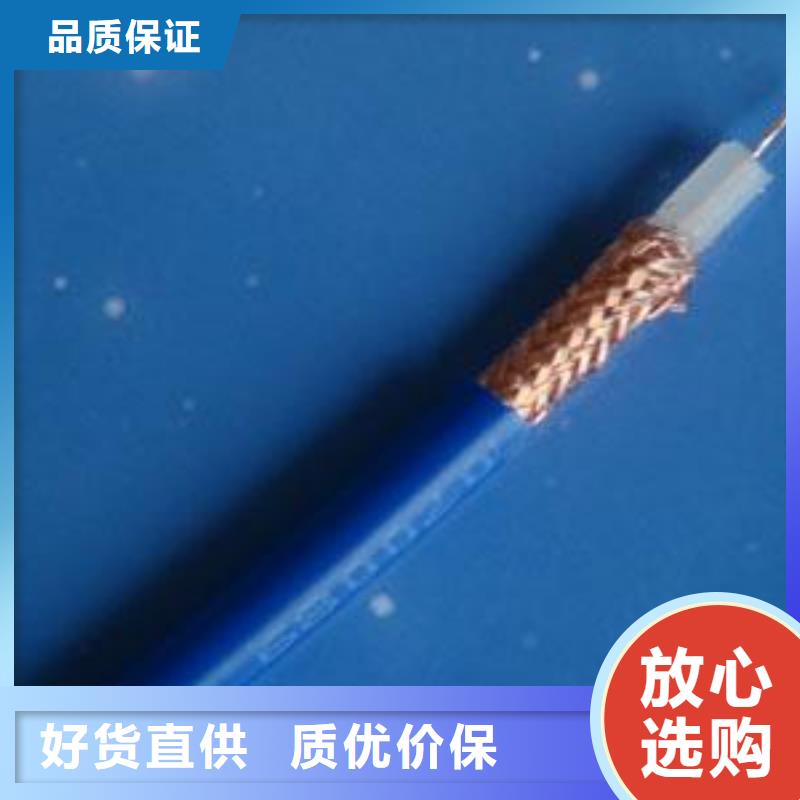 阻燃同轴电缆ZRSYV存货充足