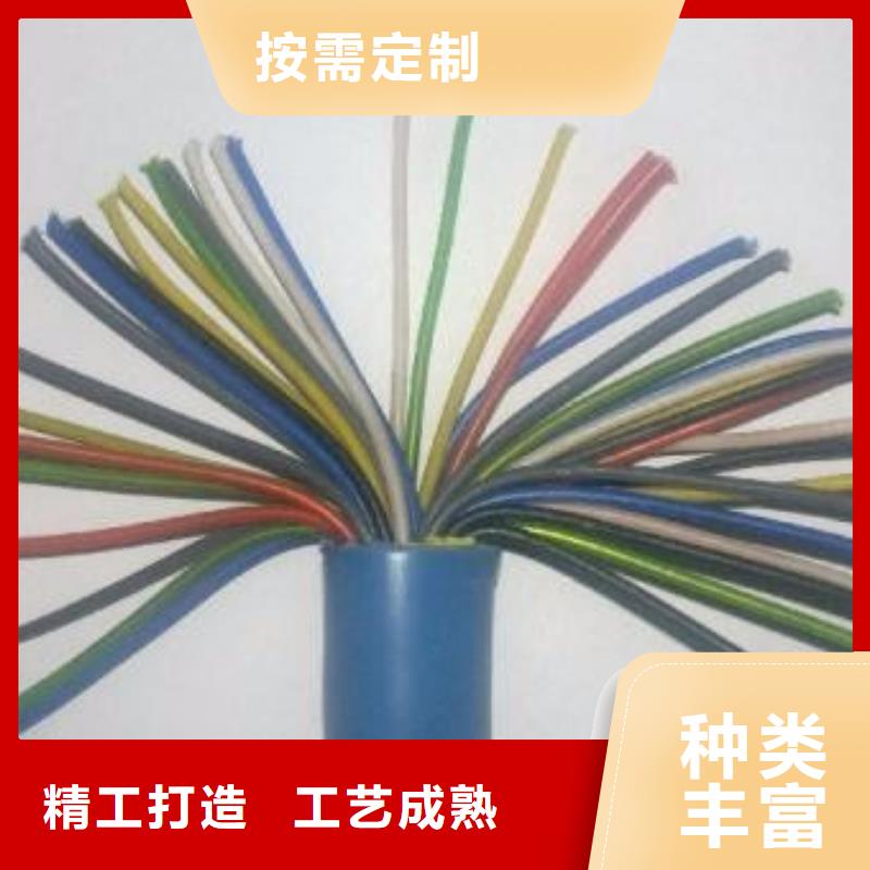 阻燃同轴电缆ZRSYV贴心服务