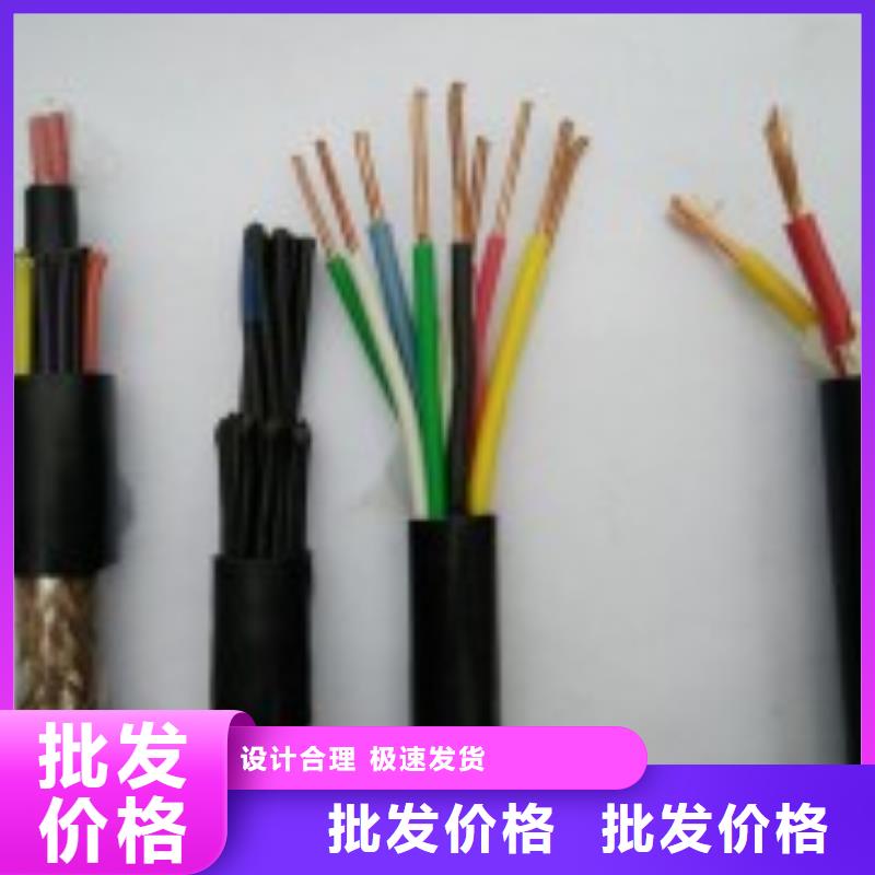 阻燃同轴电缆ZRSYV贴心服务