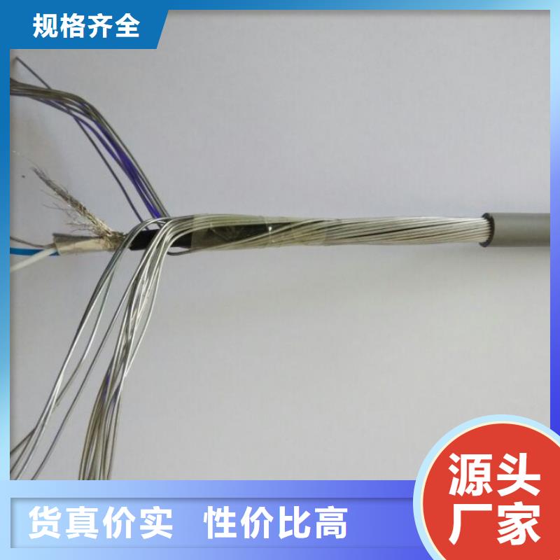 阻燃同轴电缆ZRSYV铸造金品