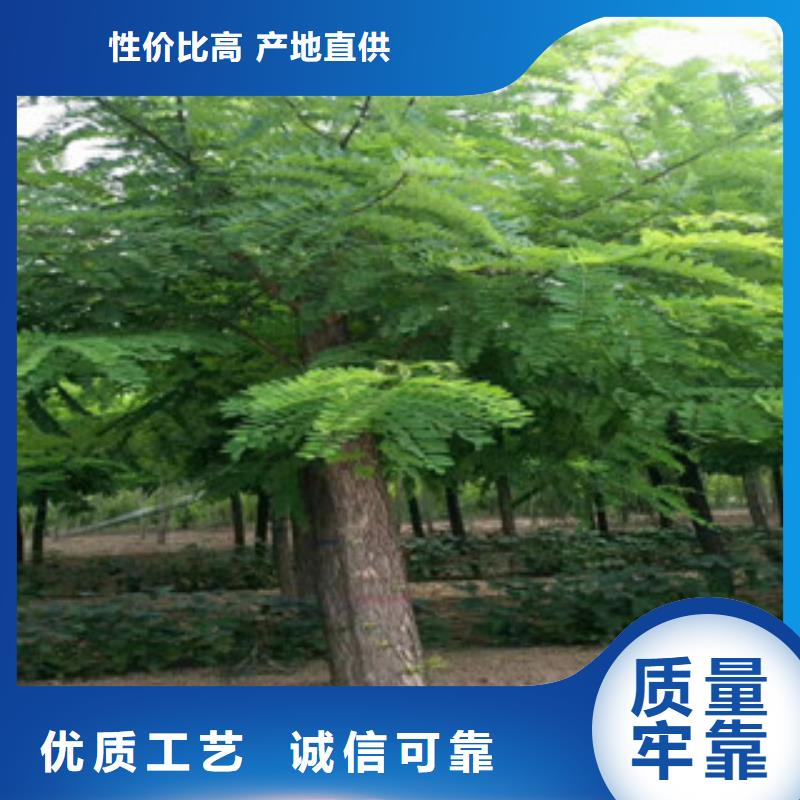 发货及时的槐树公司设备齐全支持定制