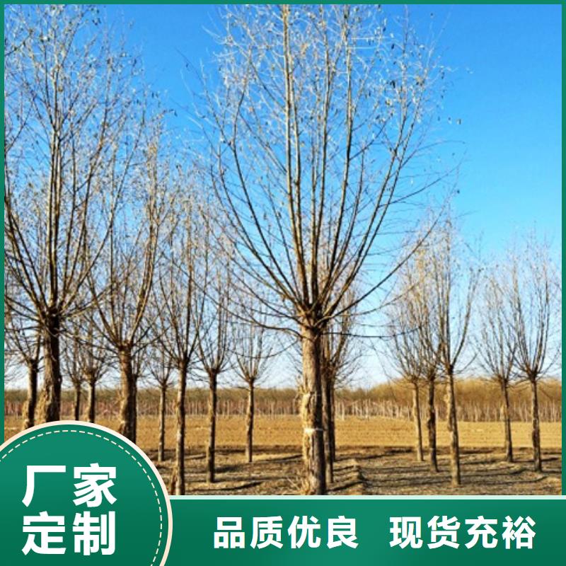 柳树匠心品质当地经销商