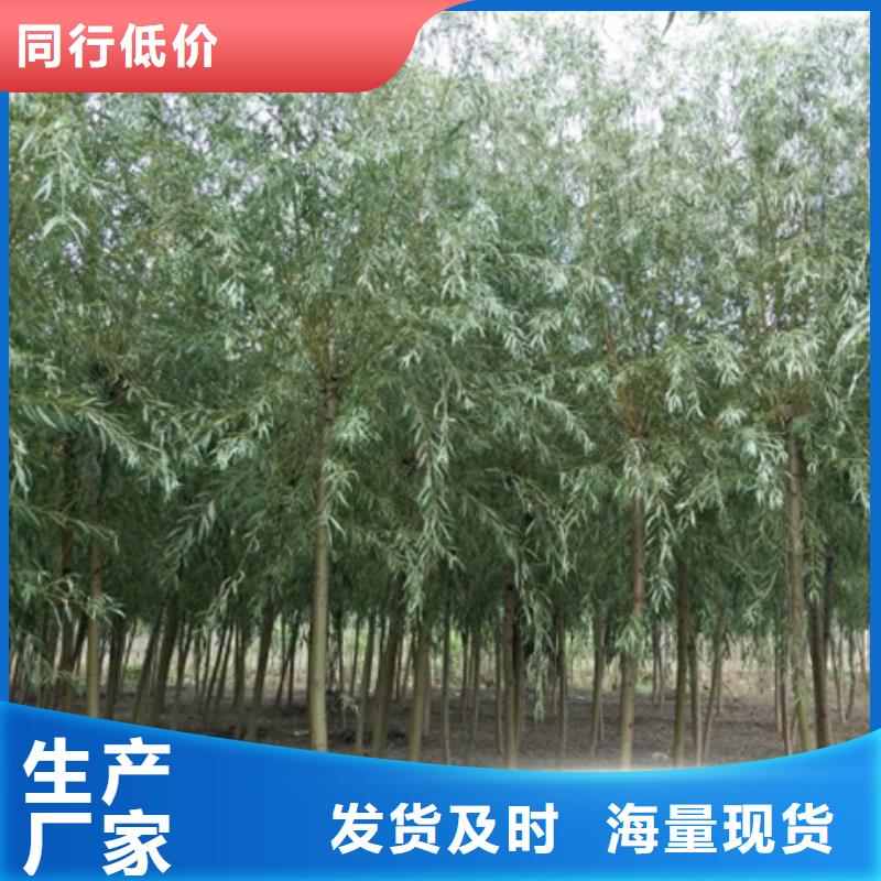 优选：柳树企业专业生产设备