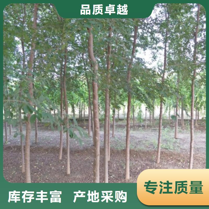 榆树厂家-专心做产品