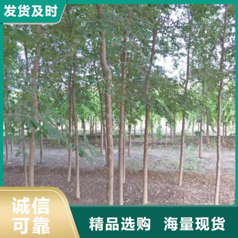 2025欢迎访问##榆树##生产厂家