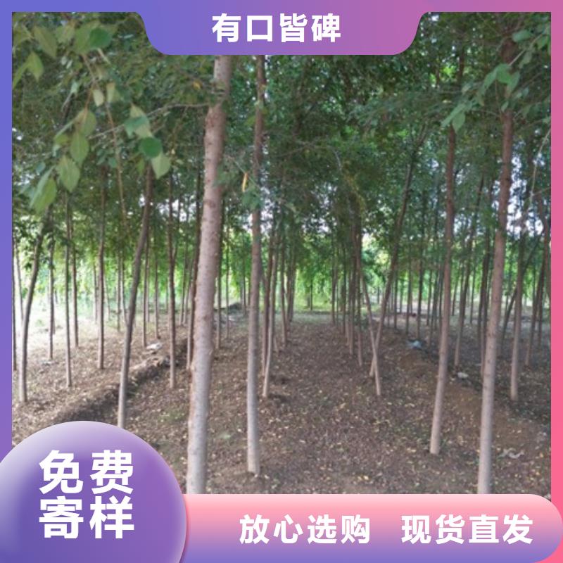 榆树用专业让客户省心