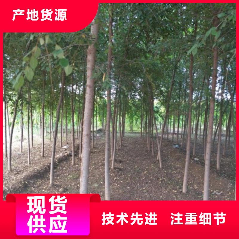 榆树实力雄厚