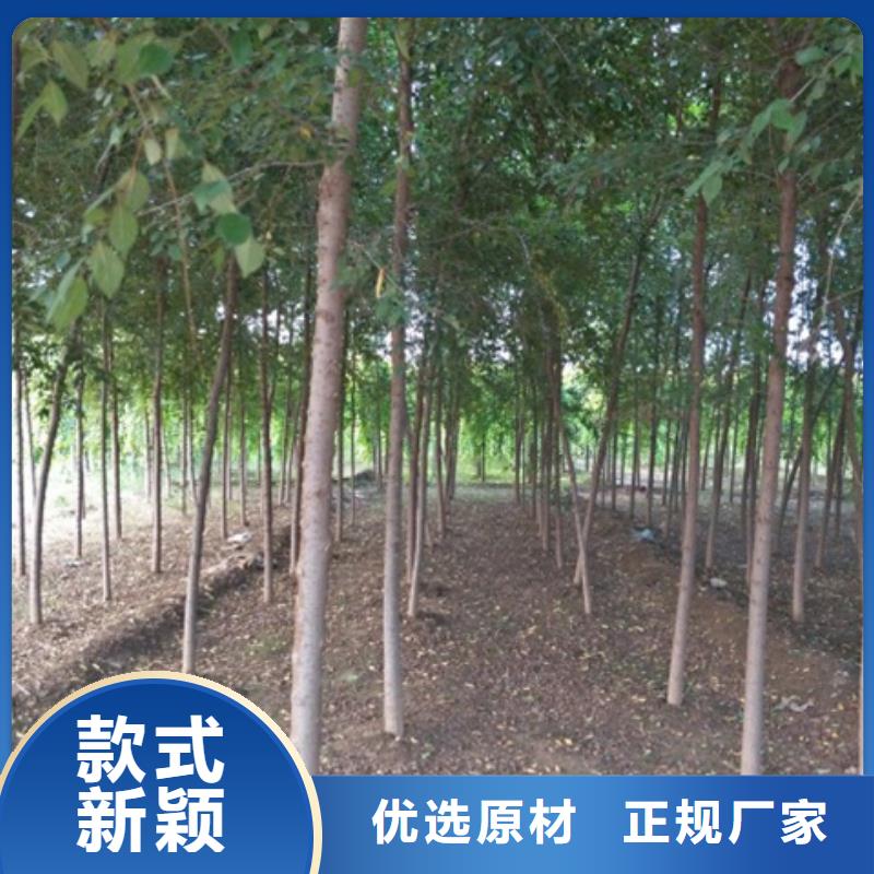 质量可靠的榆树厂商