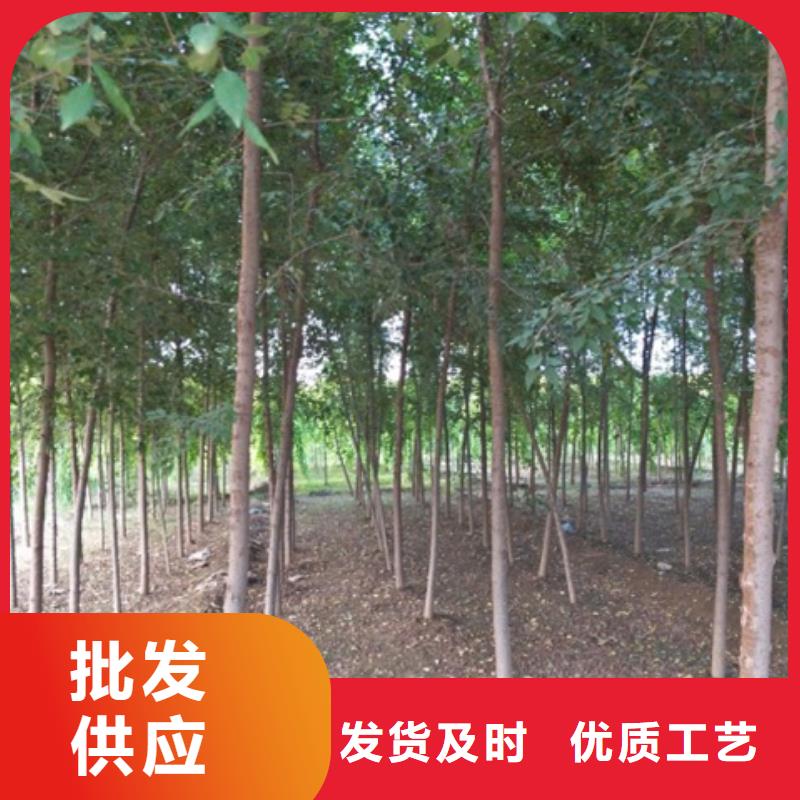 榆树-榆树售后保证