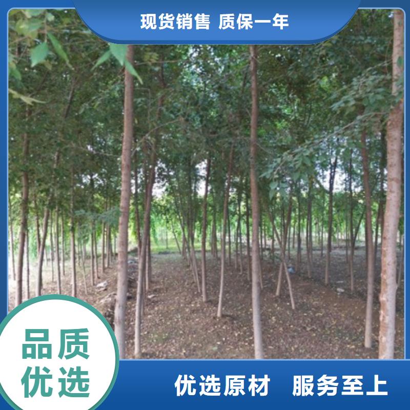 榆树本地供货商